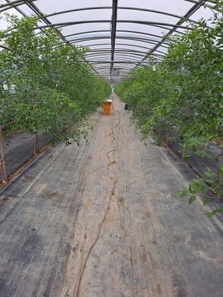 송오목님의 자유주제 · 자유게시판 작성글 사진