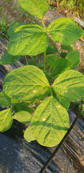 박선화님의 자유주제 · 자유게시판 작성글 사진