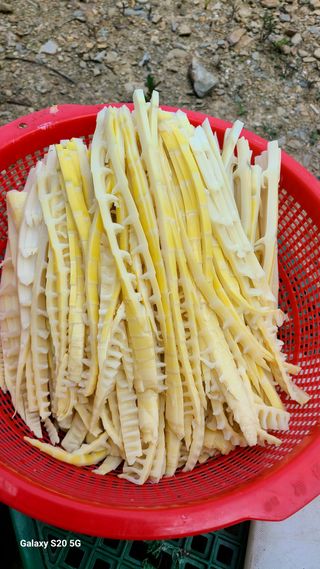 시골농부현장 현장박님의 🎤어떤 노래 좋아하세요? · 참여글 작성글 사진