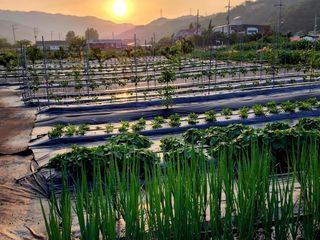 風雲雨님의 🎤어떤 노래 좋아하세요? · 참여글 작성글 사진