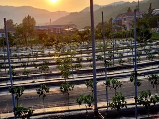 風雲雨님의 🎤어떤 노래 좋아하세요? · 참여글 작성글 사진