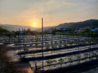 風雲雨님의 🎤어떤 노래 좋아하세요? · 참여글 작성글 사진