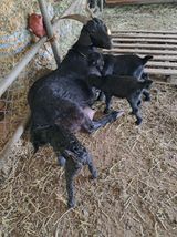 팜모닝 자유주제·자유게시판 게시글 이미지