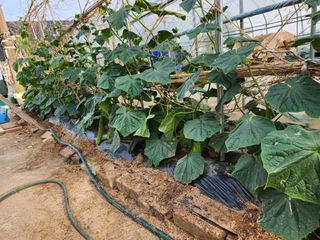 이대석님의 자유주제 · 자유게시판 작성글 사진