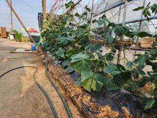 이대석님의 자유주제 · 자유게시판 작성글 사진