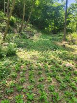 팜모닝 기타작물·영농일지 게시글 이미지