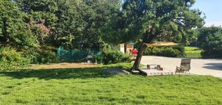 장항님의 팜모닝 · 출석 작성글 사진