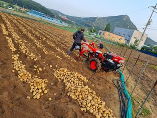 딸기11771님의 🎤어떤 노래 좋아하세요? · 참여글 작성글 사진