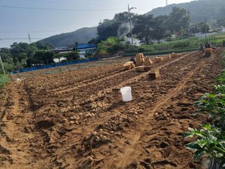 딸기11771님의 🎤어떤 노래 좋아하세요? · 참여글 작성글 사진