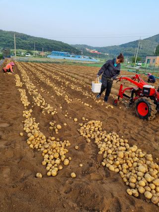 딸기11771님의 🎤어떤 노래 좋아하세요? · 참여글 작성글 사진