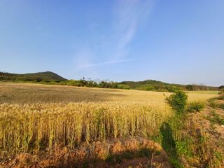 수정엄마입니다!님의 🎤어떤 노래 좋아하세요? · 참여글 작성글 사진
