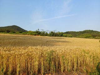 수정엄마입니다!님의 🎤어떤 노래 좋아하세요? · 참여글 작성글 사진