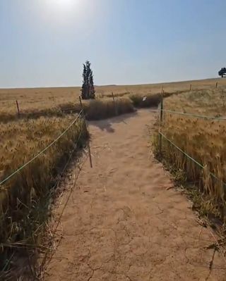 수정엄마입니다!님의 🎤어떤 노래 좋아하세요? · 참여글 작성글 사진