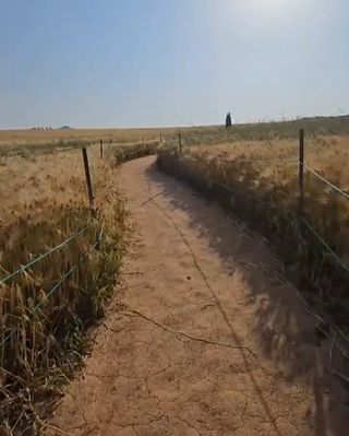 수정엄마입니다!님의 🎤어떤 노래 좋아하세요? · 참여글 작성글 사진