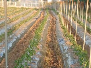 알 수 없음님의 자유주제 · 사진전 작성글 사진