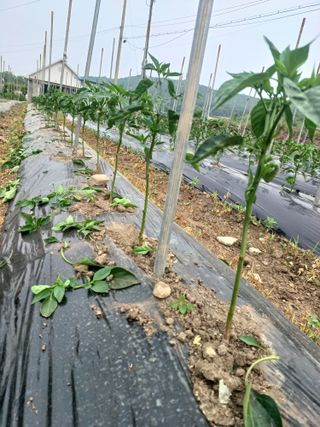 알 수 없음님의 자유주제 · 사진전 작성글 사진