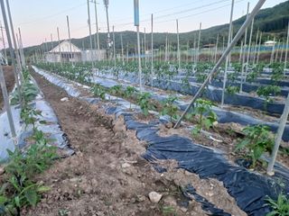 알 수 없음님의 자유주제 · 사진전 작성글 사진