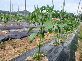 알 수 없음님의 자유주제 · 사진전 작성글 사진