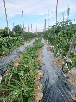 알 수 없음님의 자유주제 · 사진전 작성글 사진