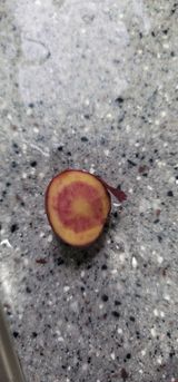 팜모닝 감자·병해충상담 게시글 이미지