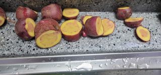 천농님의 감자 · 병해충상담 작성글 사진