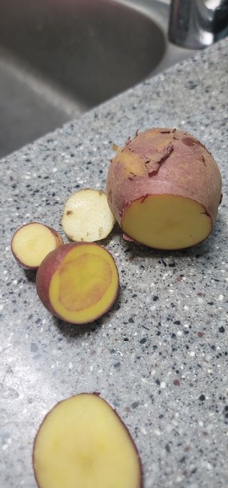 천농님의 감자 · 병해충상담 작성글 사진