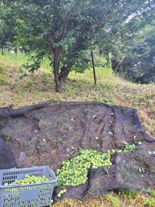 북극성짱님의 자유주제 · 자유게시판 작성글 사진