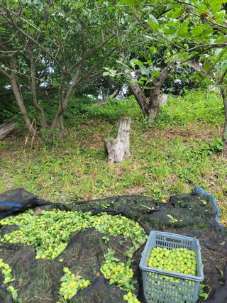 북극성짱님의 자유주제 · 자유게시판 작성글 사진