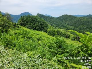 안계천님의 두릅 · 영농일지 작성글 사진
