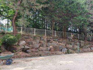 우람님의 자유주제 · 자유게시판 작성글 사진