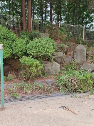 우람님의 자유주제 · 자유게시판 작성글 사진