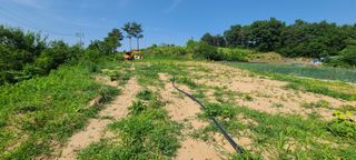 공주 음나무 농장님의 기타작물 · 영농일지 작성글 사진