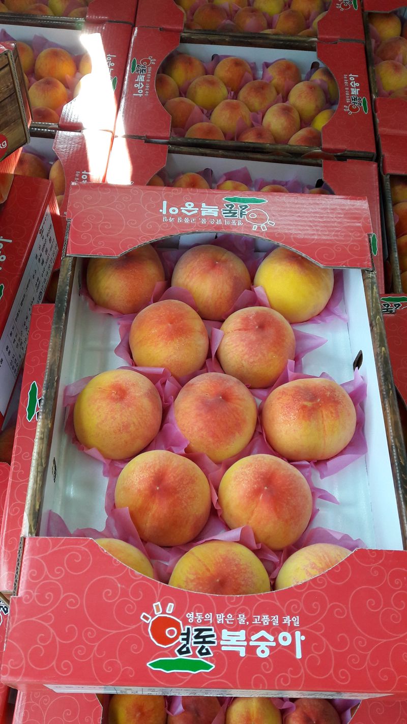 장터 상품 [복숭아  농사 잘  지었는데 지금은  비가너무 많이와서] 썸네일