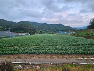 이석민님의 감자 · 영농일지 작성글 사진