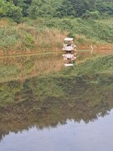 팜모닝 벼·영농일지 게시글 이미지