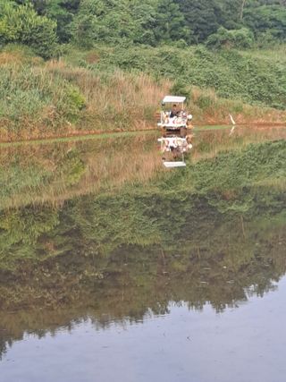 귤13096이인오님의 벼 · 영농일지 작성글 사진