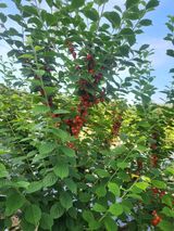 팜모닝 자유주제·사진전 게시글 이미지