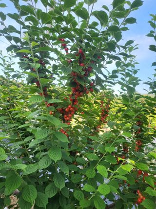 오늘도힘찬농부님의 자유주제 · 사진전 작성글 사진