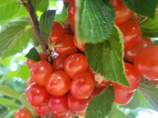 오늘도힘찬농부님의 자유주제 · 사진전 작성글 사진