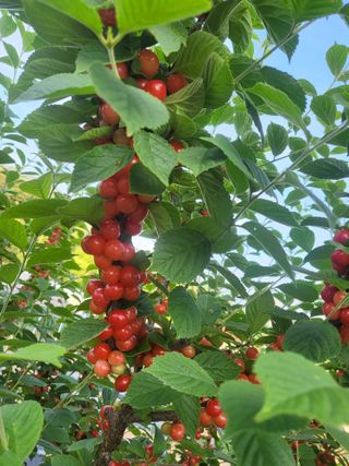 오늘도힘찬농부님의 자유주제 · 사진전 작성글 사진