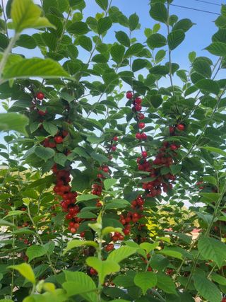 오늘도힘찬농부님의 자유주제 · 사진전 작성글 사진