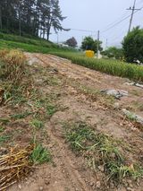 팜모닝 마늘·영농일지 게시글 이미지