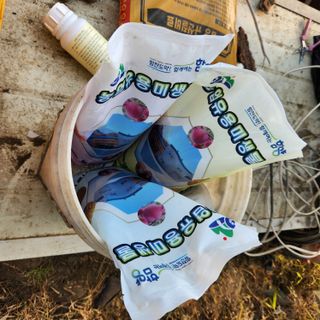 유원준님의 고추 · 영농일지 작성글 사진