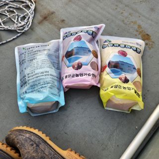 유원준님의 고추 · 영농일지 작성글 사진