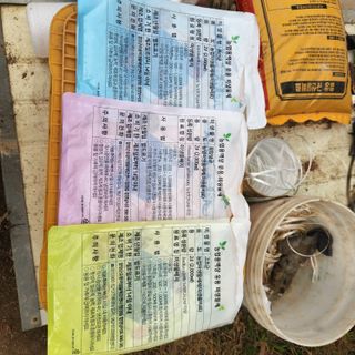 유원준님의 고추 · 영농일지 작성글 사진