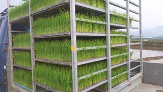 김형관님의 🎤어떤 노래 좋아하세요? · 참여글 작성글 사진