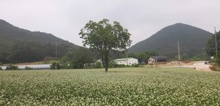 김형관님의 🎤어떤 노래 좋아하세요? · 참여글 작성글 사진