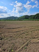 팜모닝 콩·영농일지 게시글 이미지