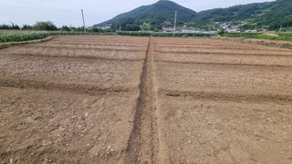 돌산갓농부(김승렬)님의 기타작물 · 영농일지 작성글 사진