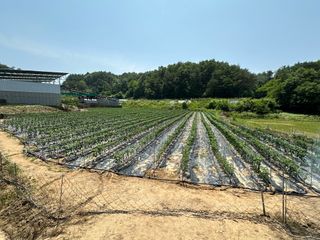 이재운님의 벼 · 영농일지 작성글 사진